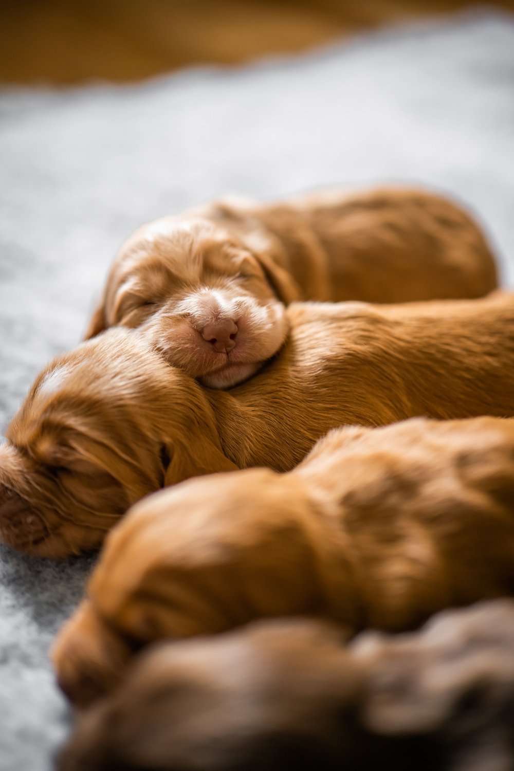 26 June 11-48-52.jpg