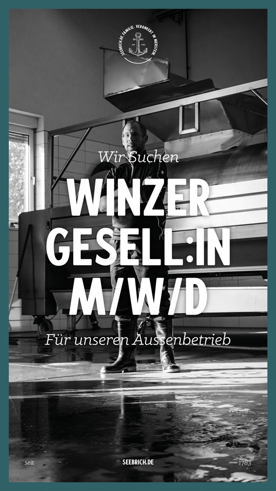 Seebrich_WirSuchen_Story_02.png