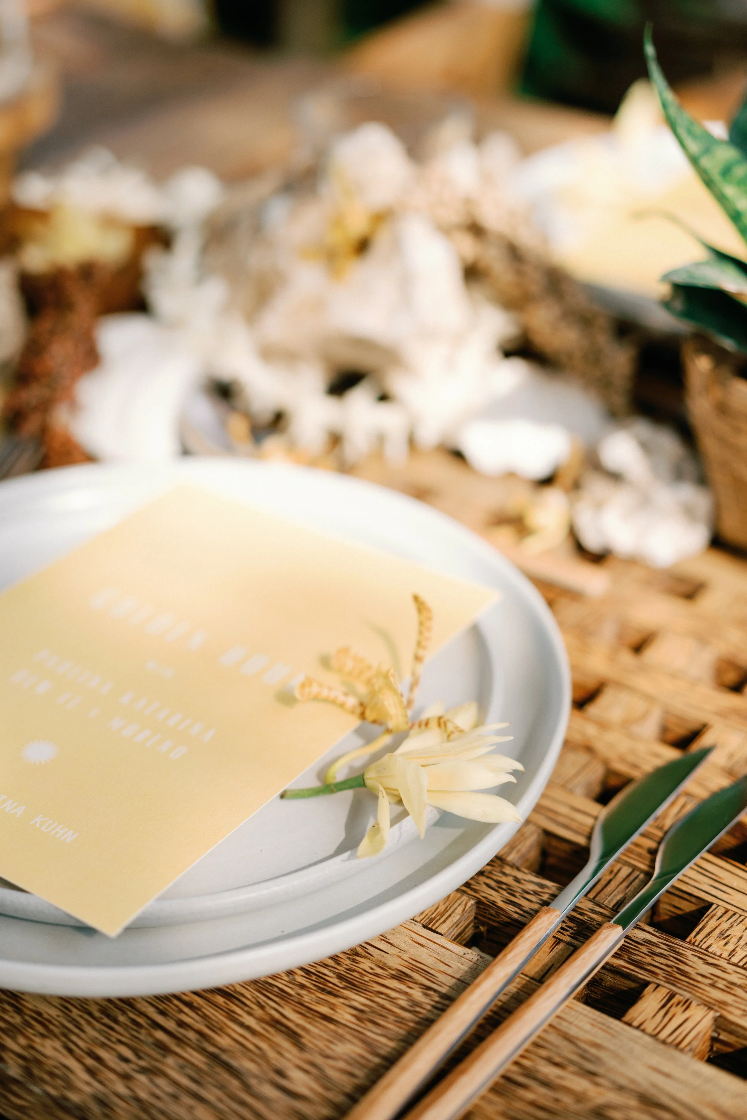 Paulina Katarina X Do It-12.jpg