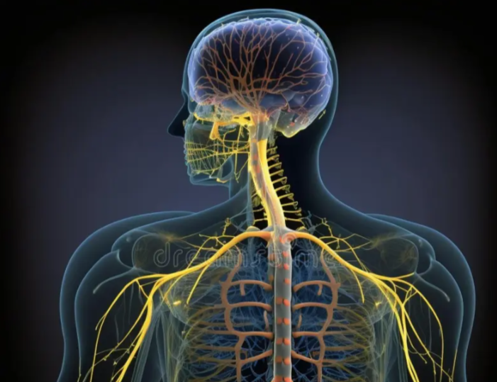 Why see an Osteopath?