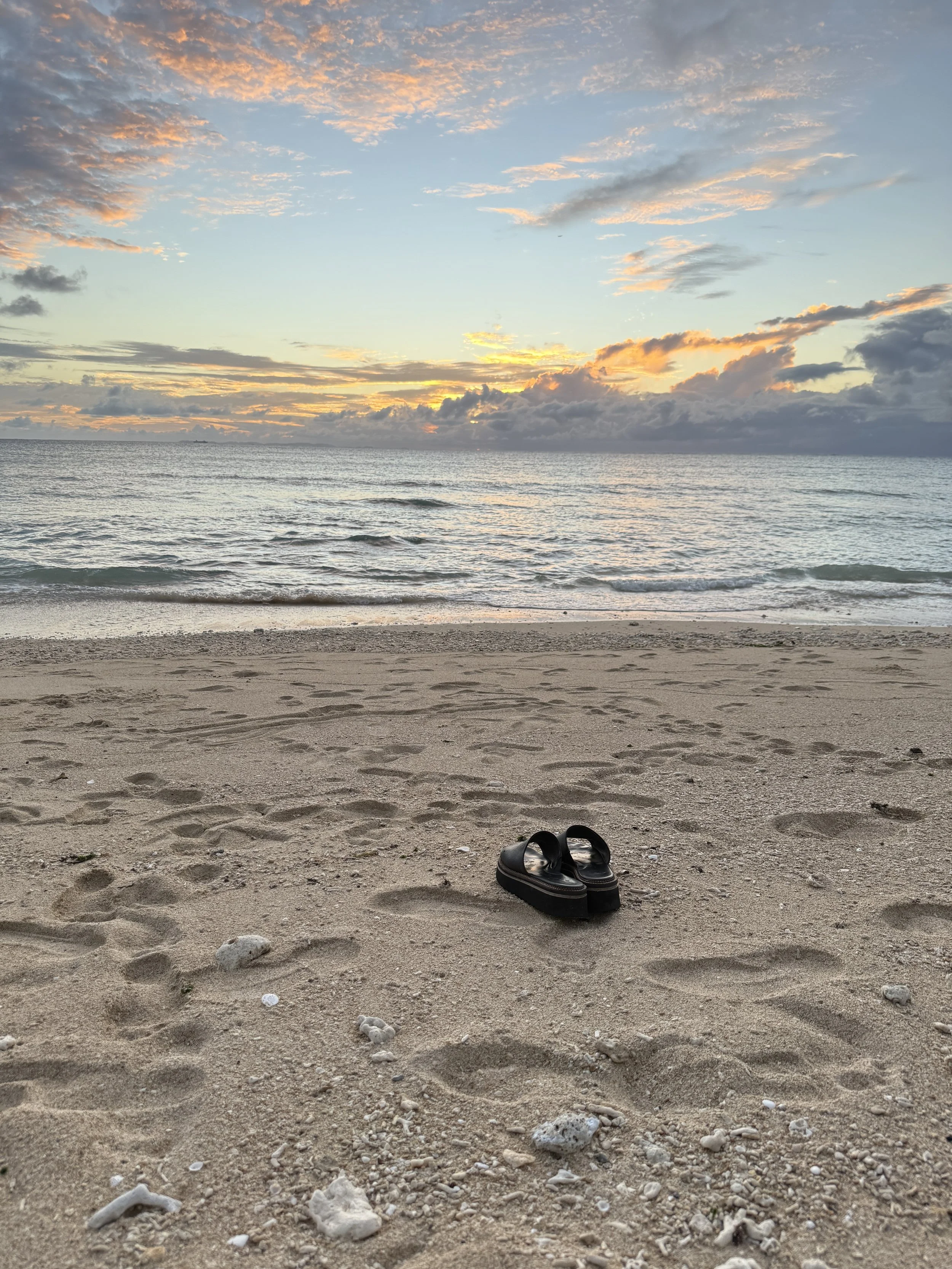 Reflections from Okinawa: A Lesson in Dedication