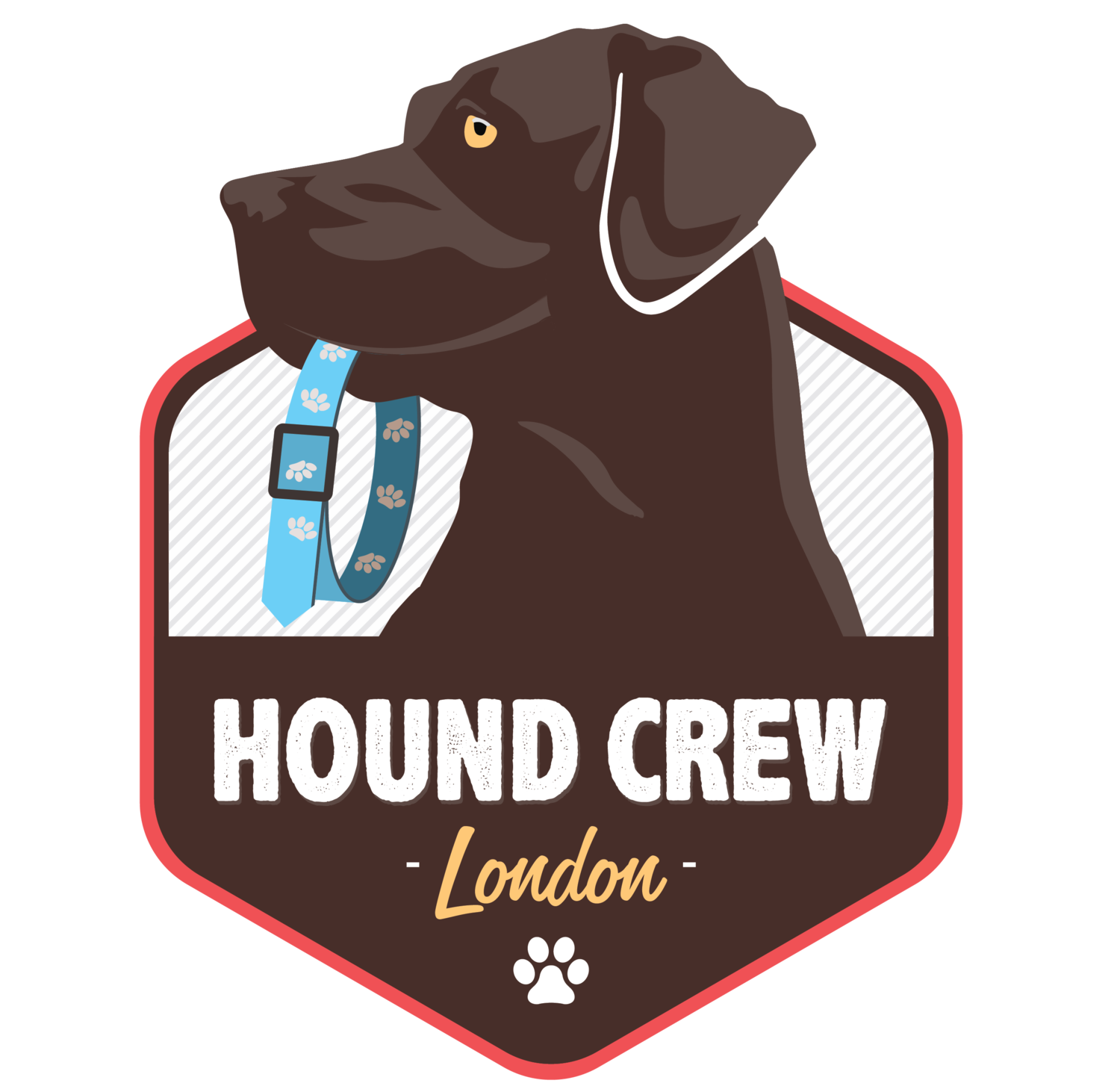 Hound Crew Dog Walker in Hackney, Stoke Newington and Clapton