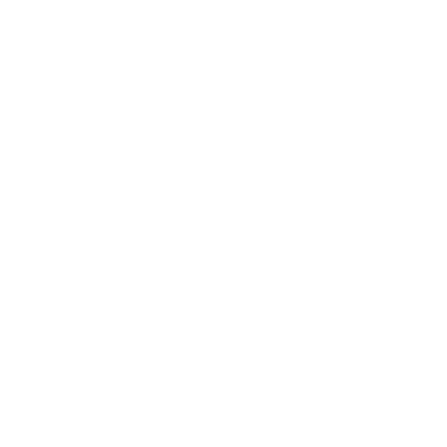 SOPHIE COADIC