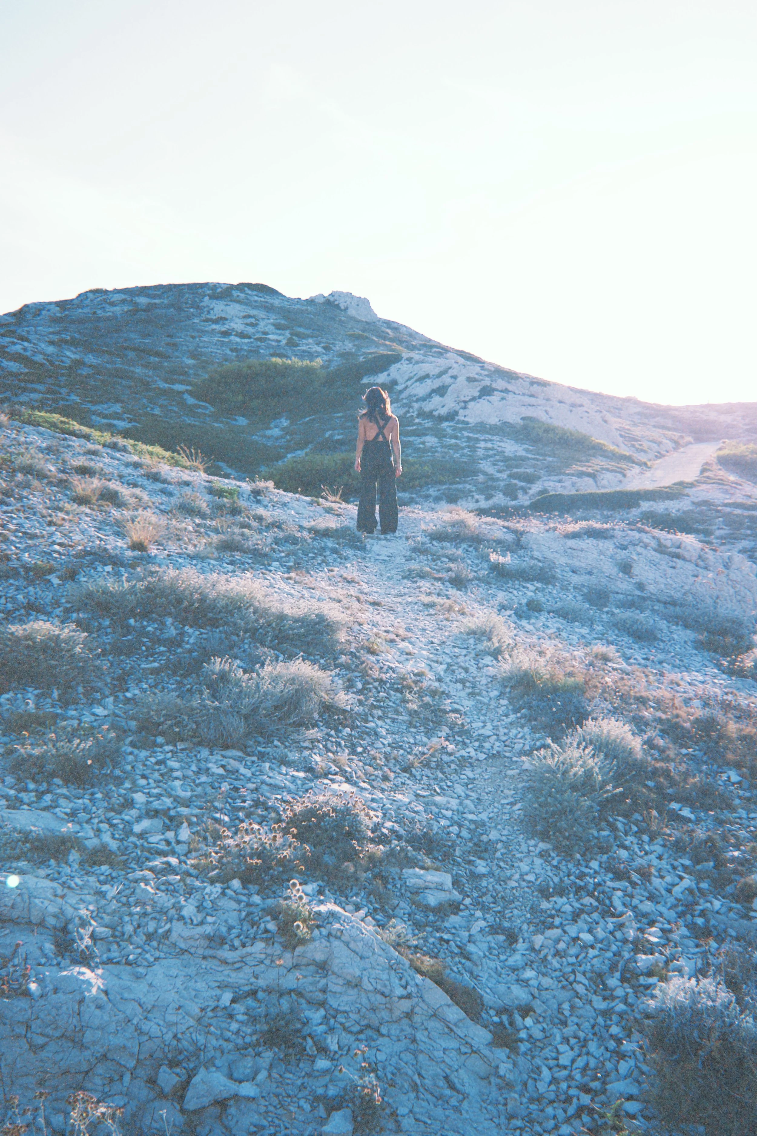 fqs 2025-08-02 194237.669.JPG