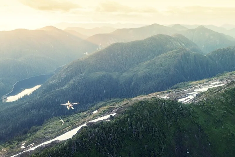 Therapie Gericht op herstel en versterking van identiteit.