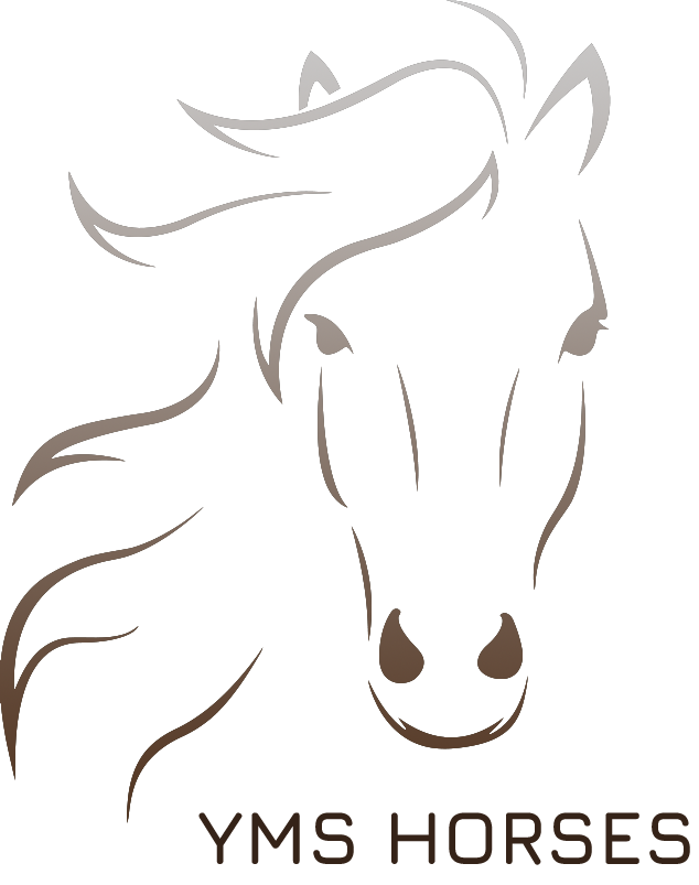 Paarden coaching Poortugaal | YMS Horses