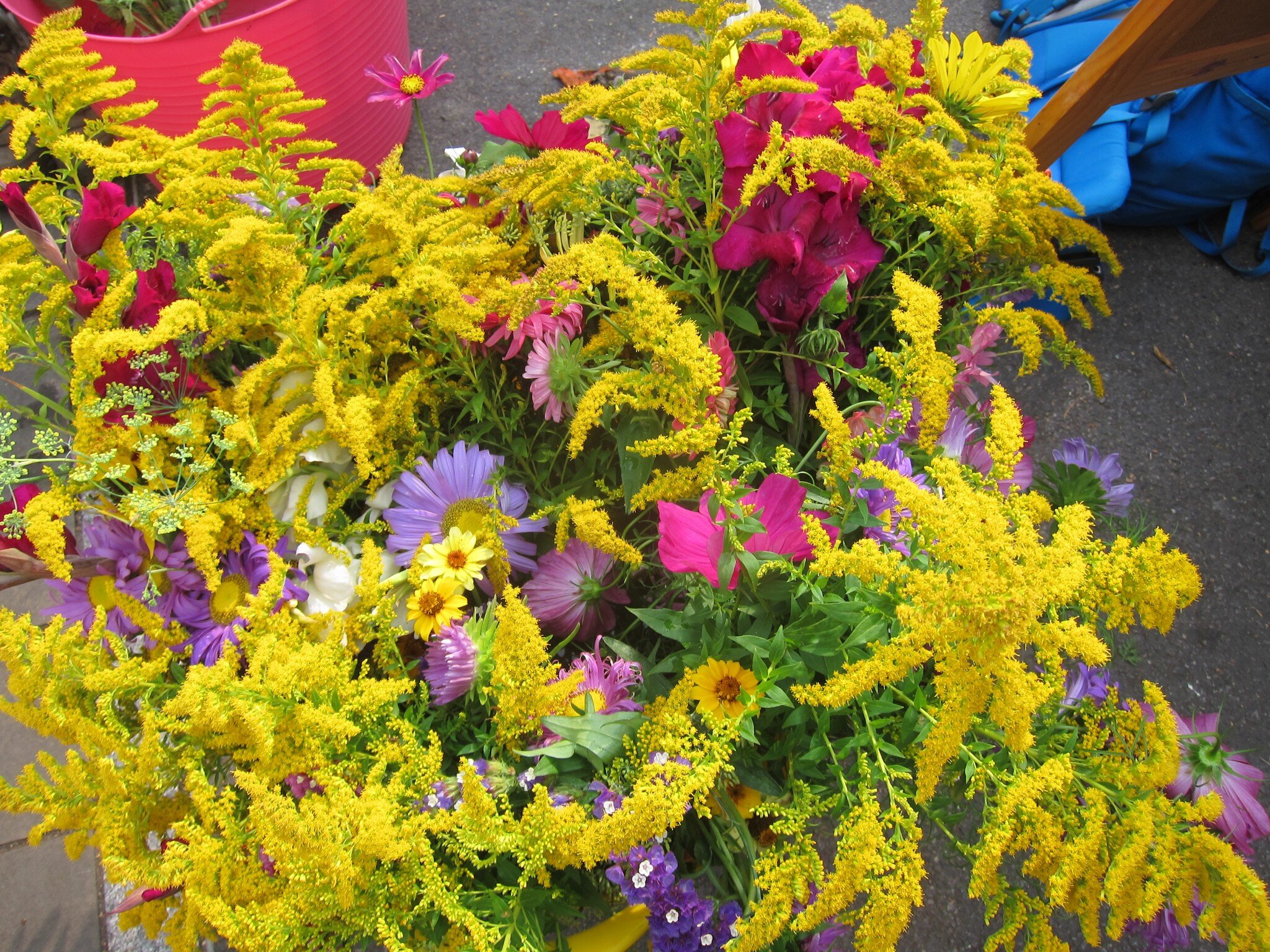 Cut Flowers