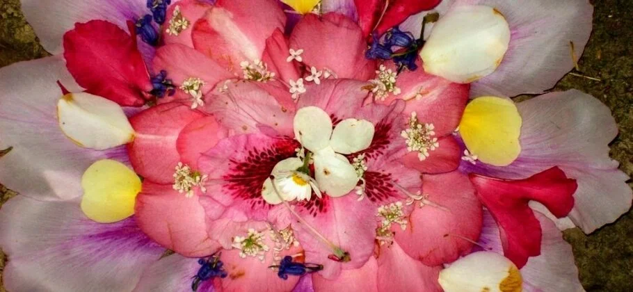 Deep Democracy, Rank &amp; Diversity - Ideas from Process Oriented Psychology (June 2014)