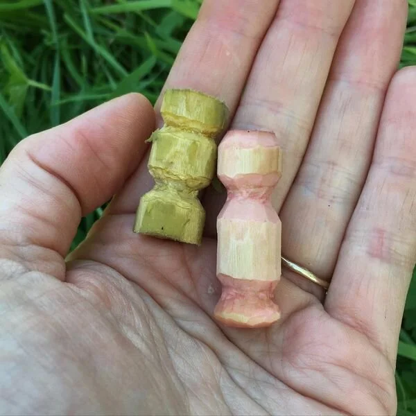 Whittle and Dye Workshop with young people