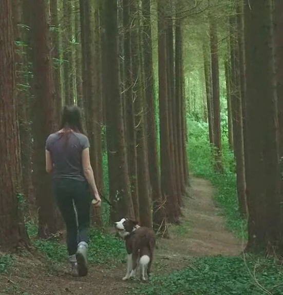 BECOME A REGENERATIVE LAND ACTIVIST.... 