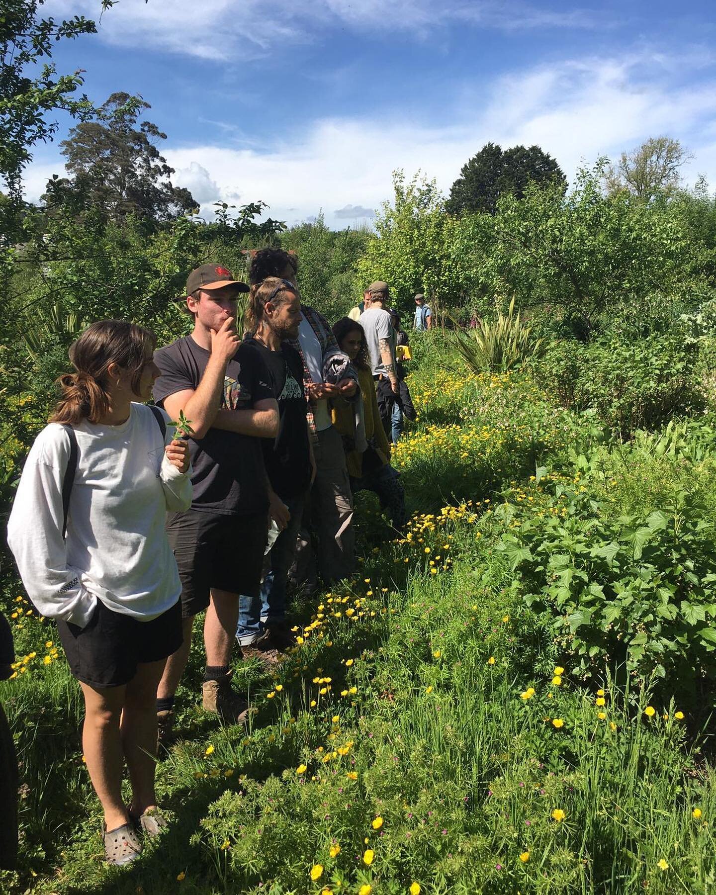 A fabulous visit to @schumachercollege on Thursday with our Level 3 students, @columpawson showed us around the agroforestry systems there. A beautiful example of horticultural agroforestry. #schumachercollege #agroforestrysystems #agroforestry #rege