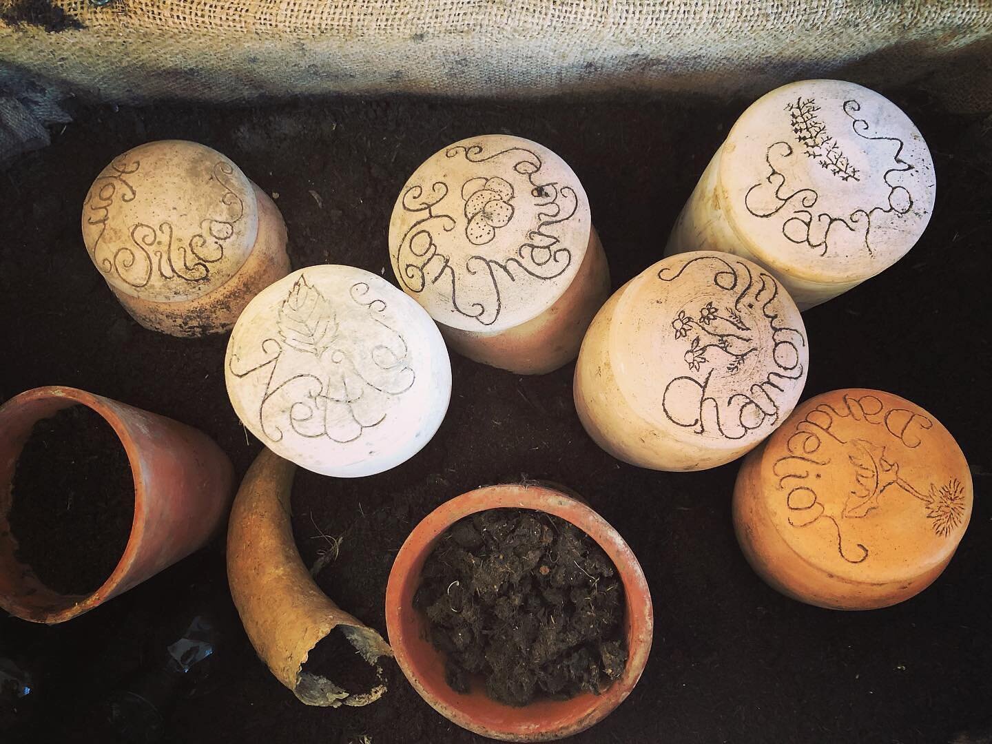 Posted @withregram &bull; @wildcraftrachel The regenerative land students are learning all things biodynamic at @apricotcentre in this module. We love the chest of preparations, beautiful plants that help regenerate the soil in the farm. Check out @b