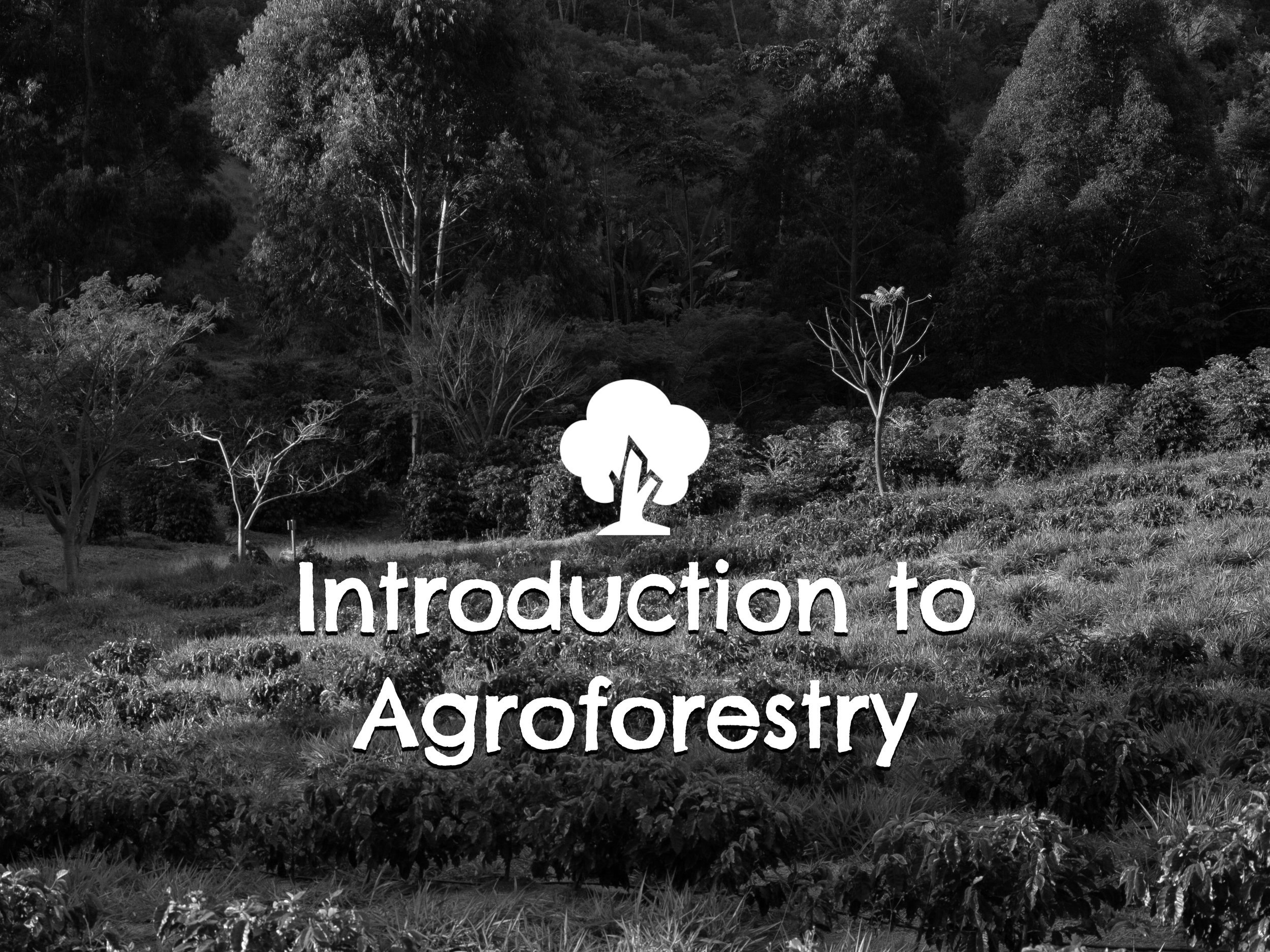 Agroforestry