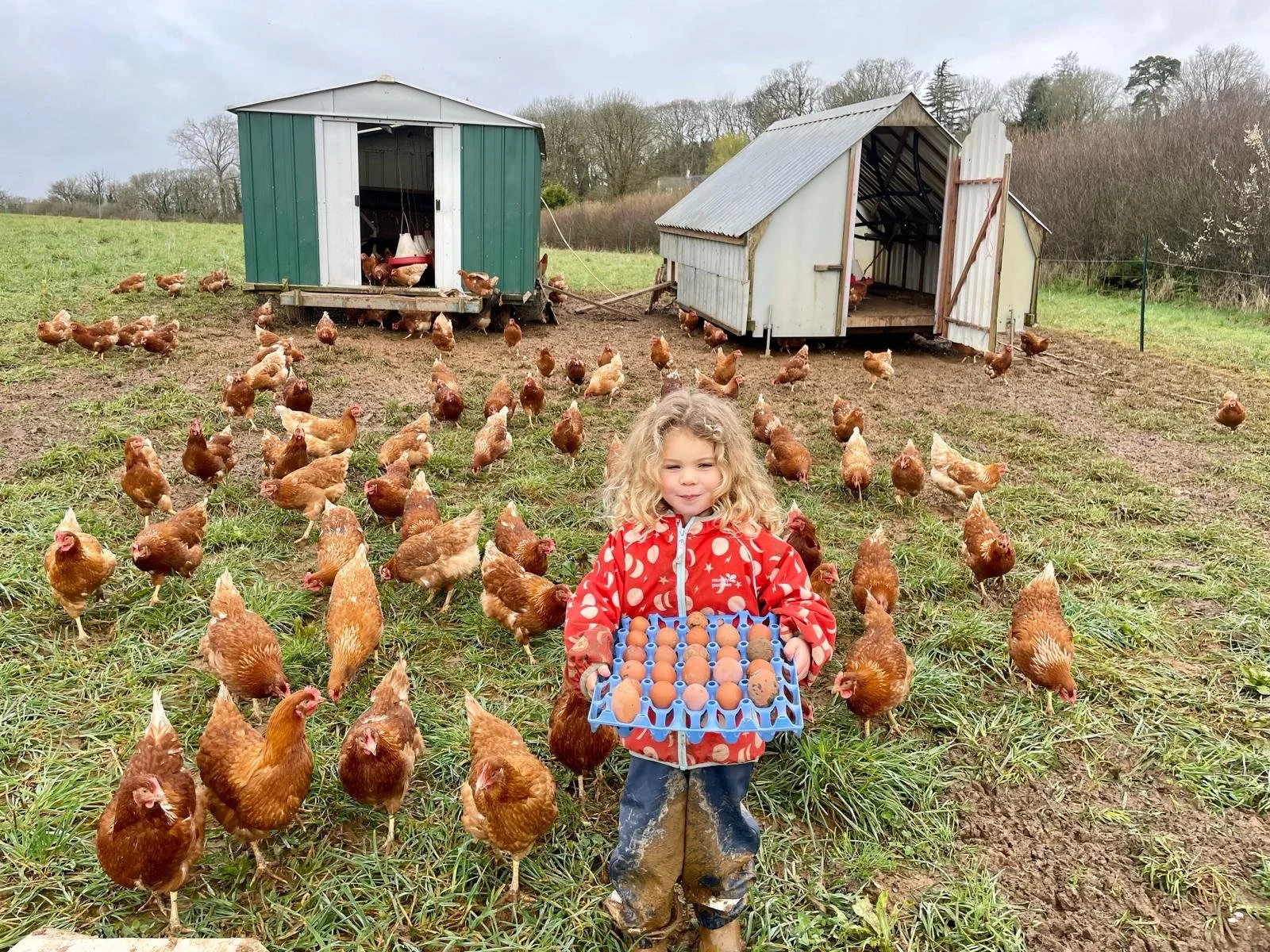 Spring Welcomes a Flock to the Farm