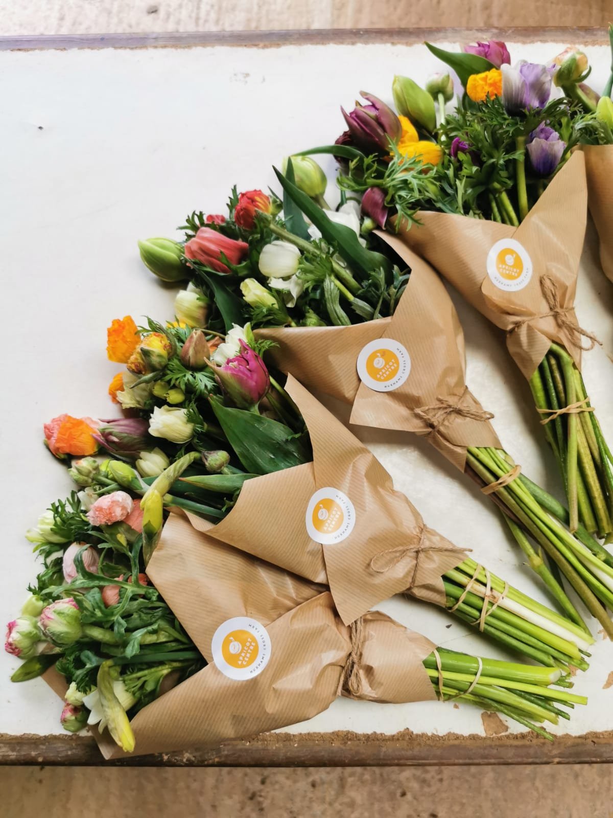 Seasonal Flowers