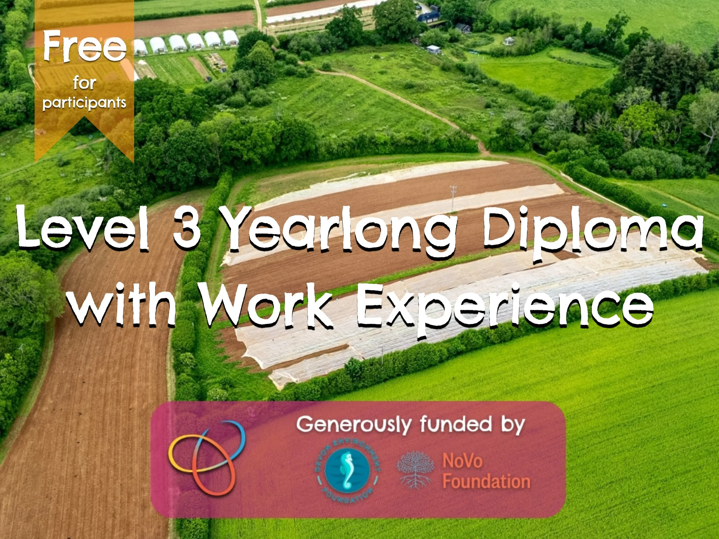 Level 3 Yearlong with Work Experience