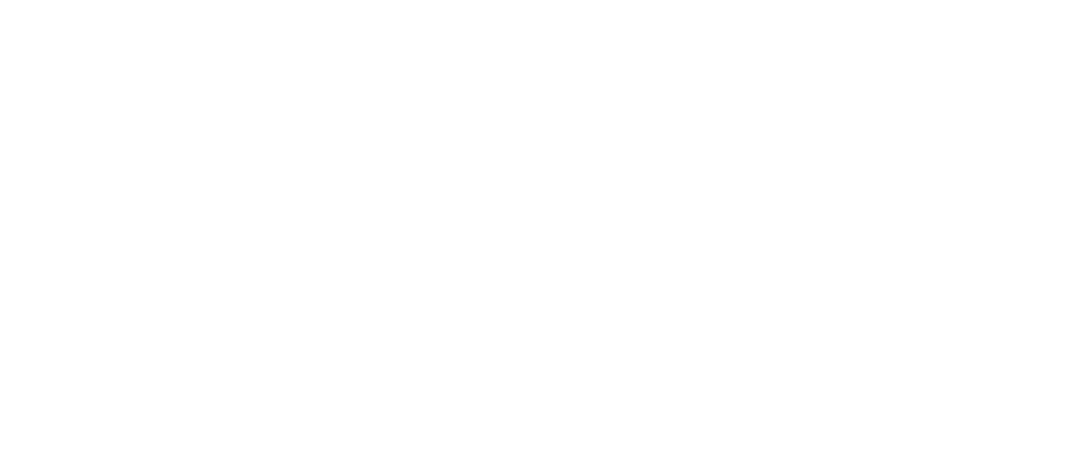 The Beacon - Watertown 