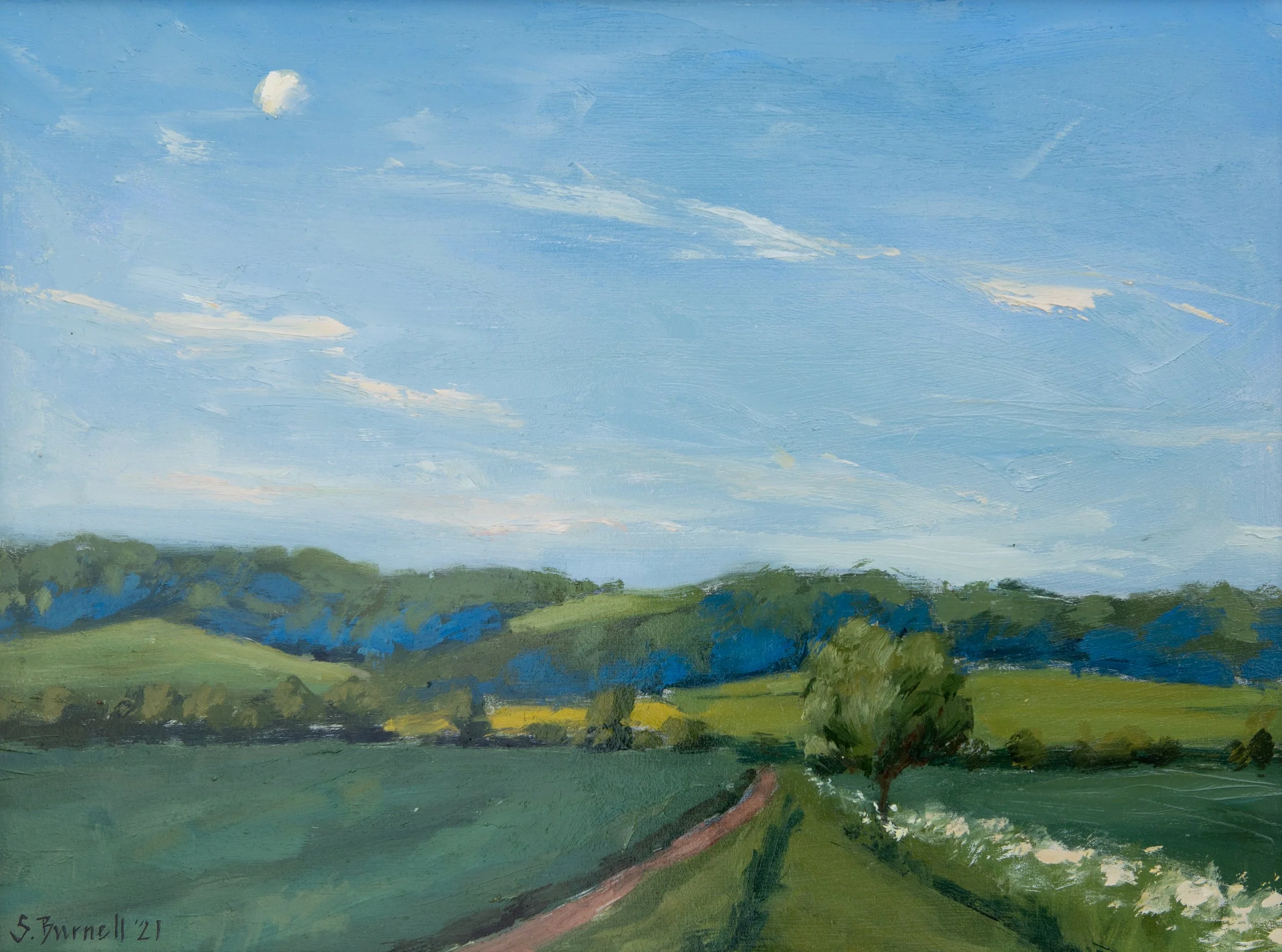 26. Morning moon in Harting Close.jpg.jpeg