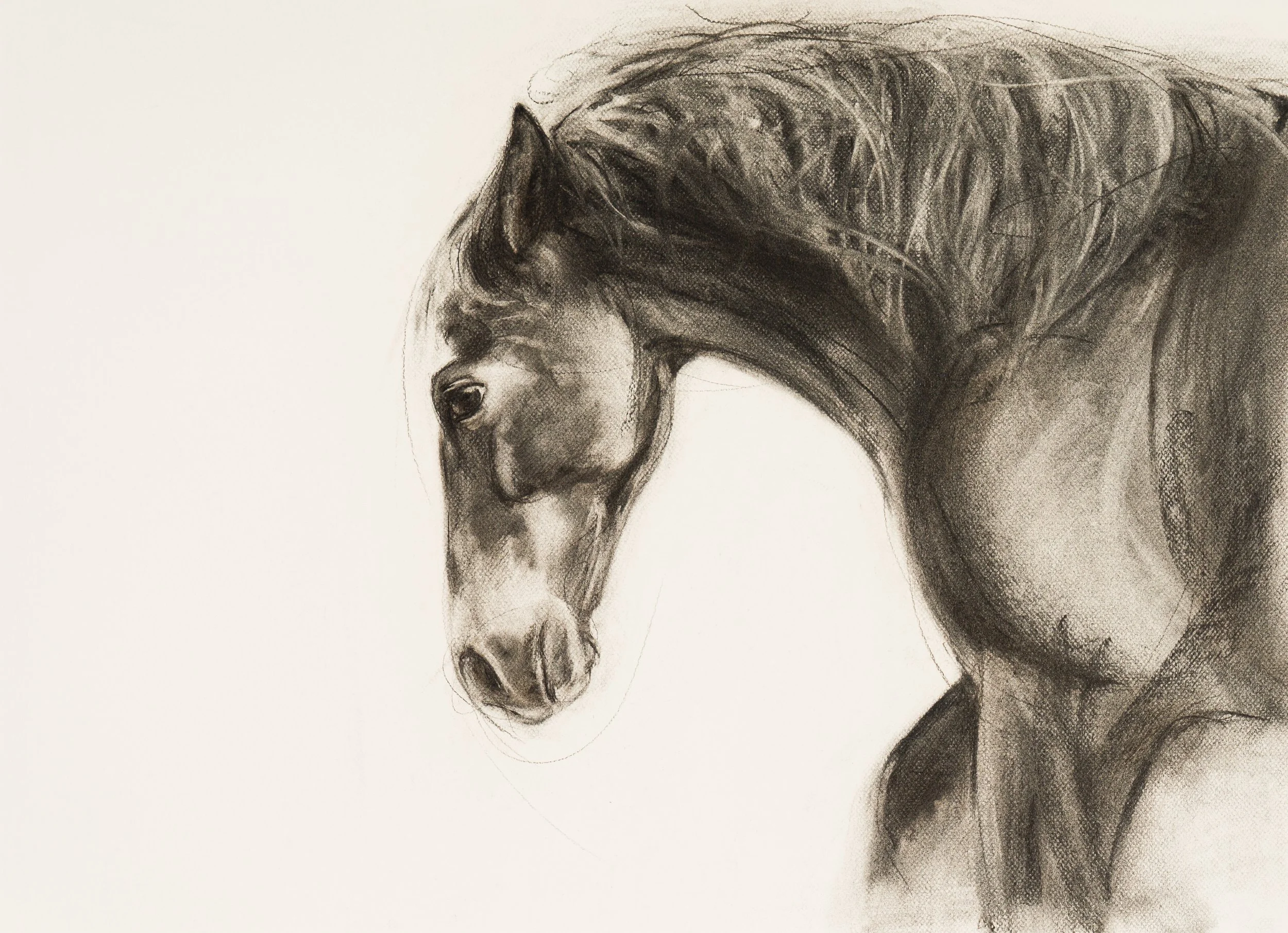 Headwind, 58 x 78cm.jpg