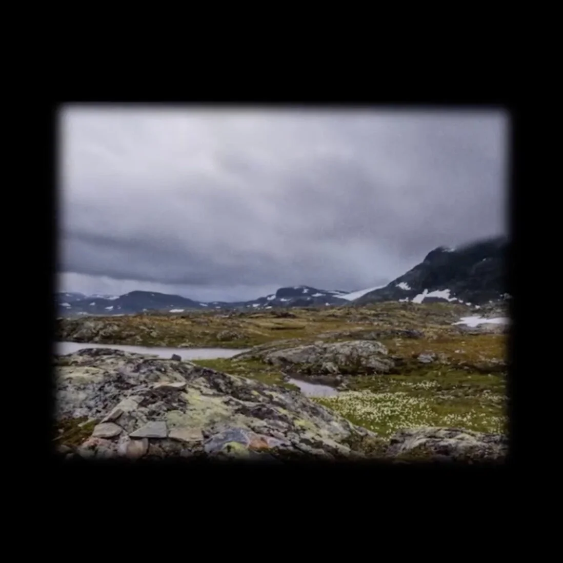 Volvo | Loved by Brooklyn