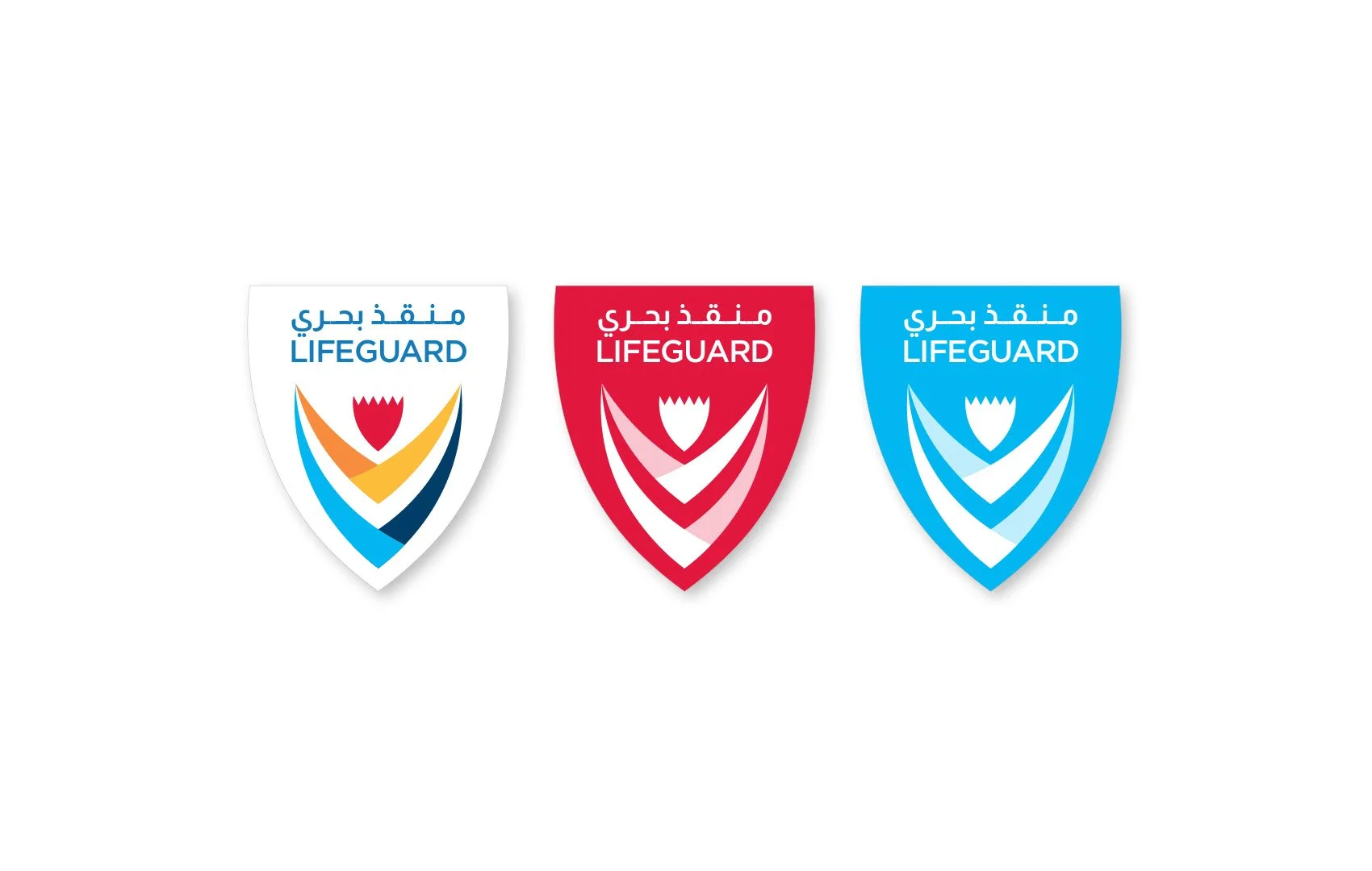 RLSB branding logo variation design