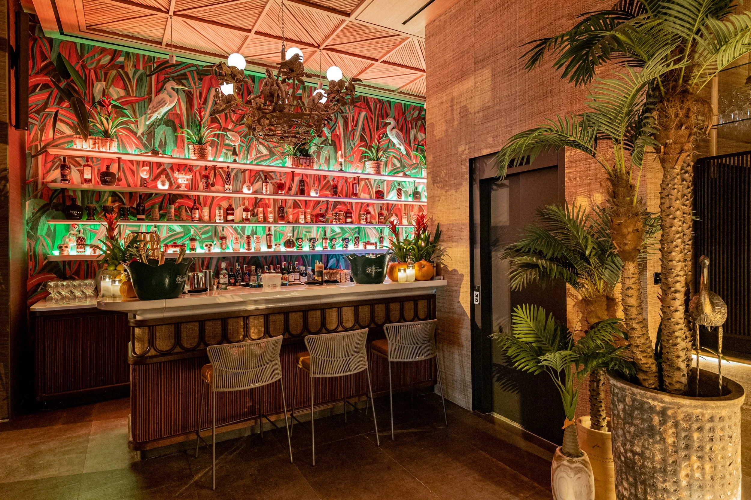 Nuevo sitio IT: Lady Bongo