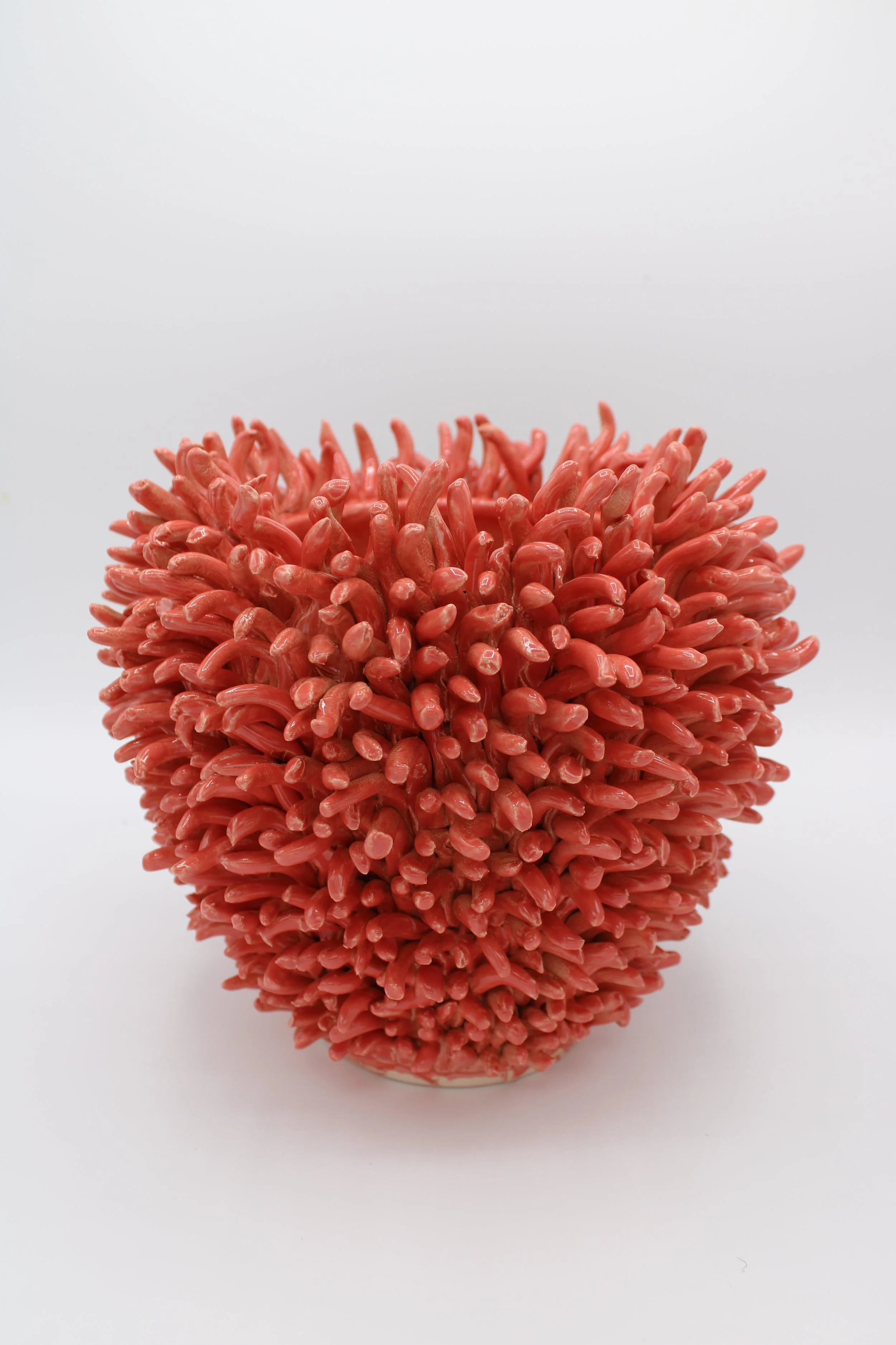 Coral Anemone Cachepot