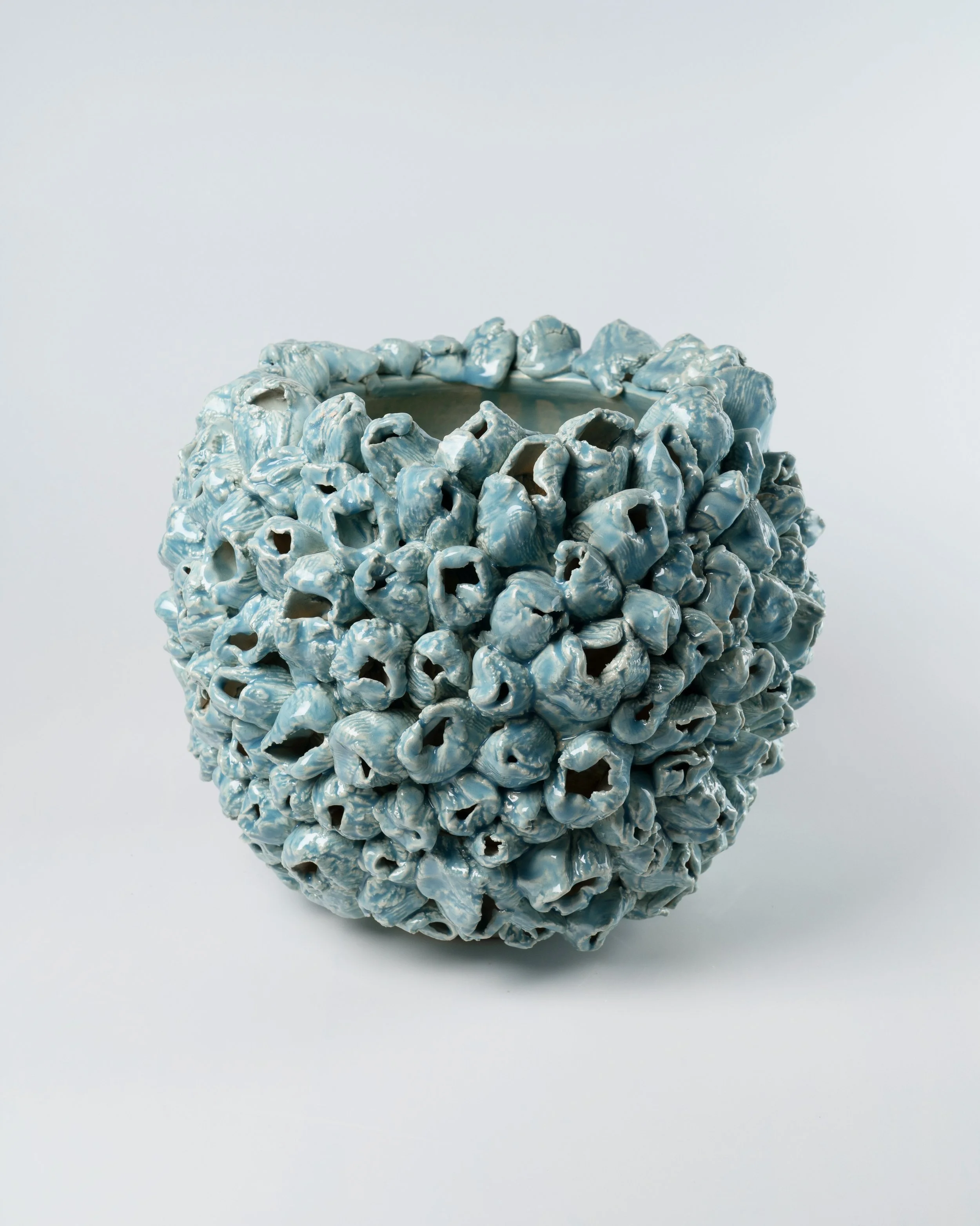 barnacle cachepot 7" x 8" w