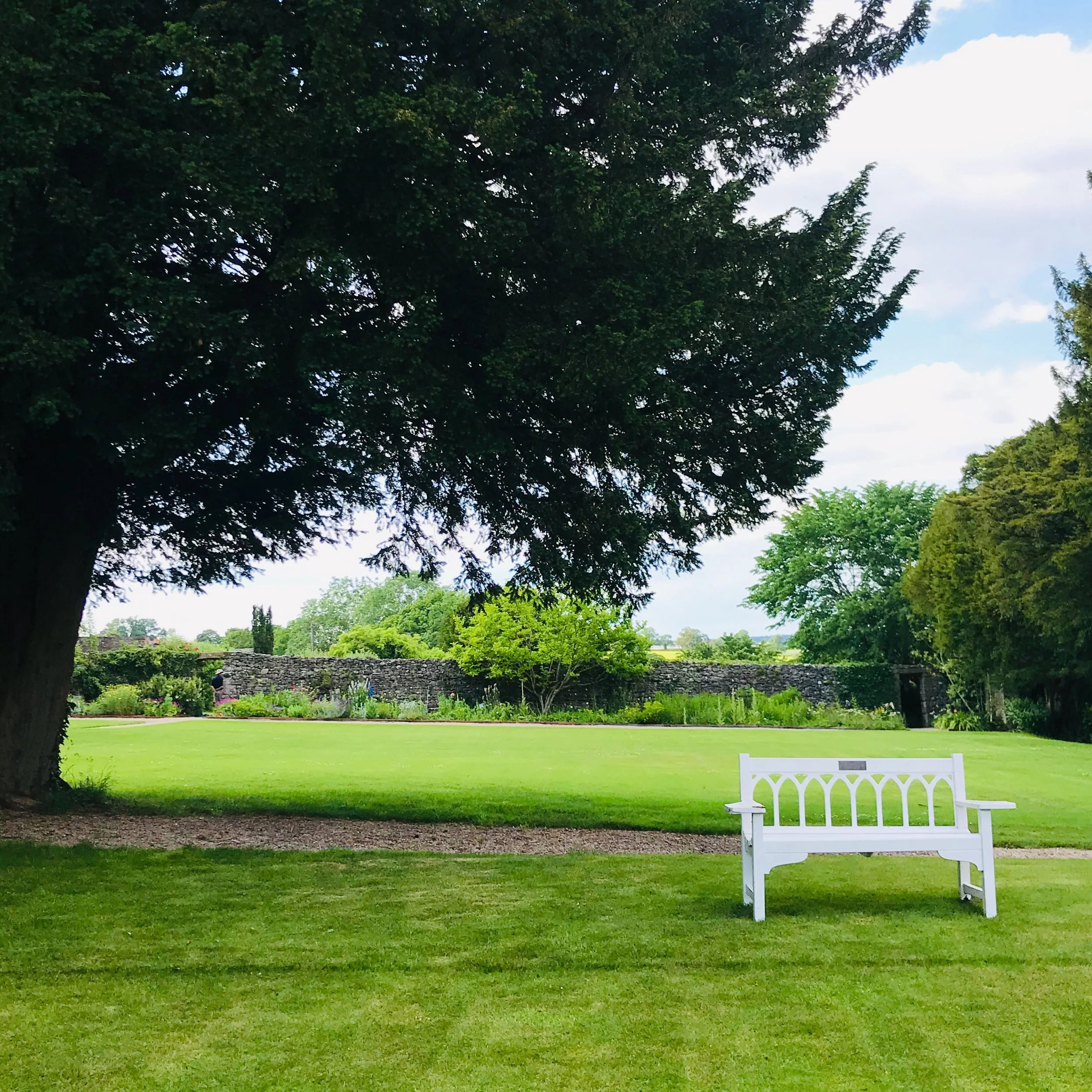 Celebrate the returning light (and return to ourselves)