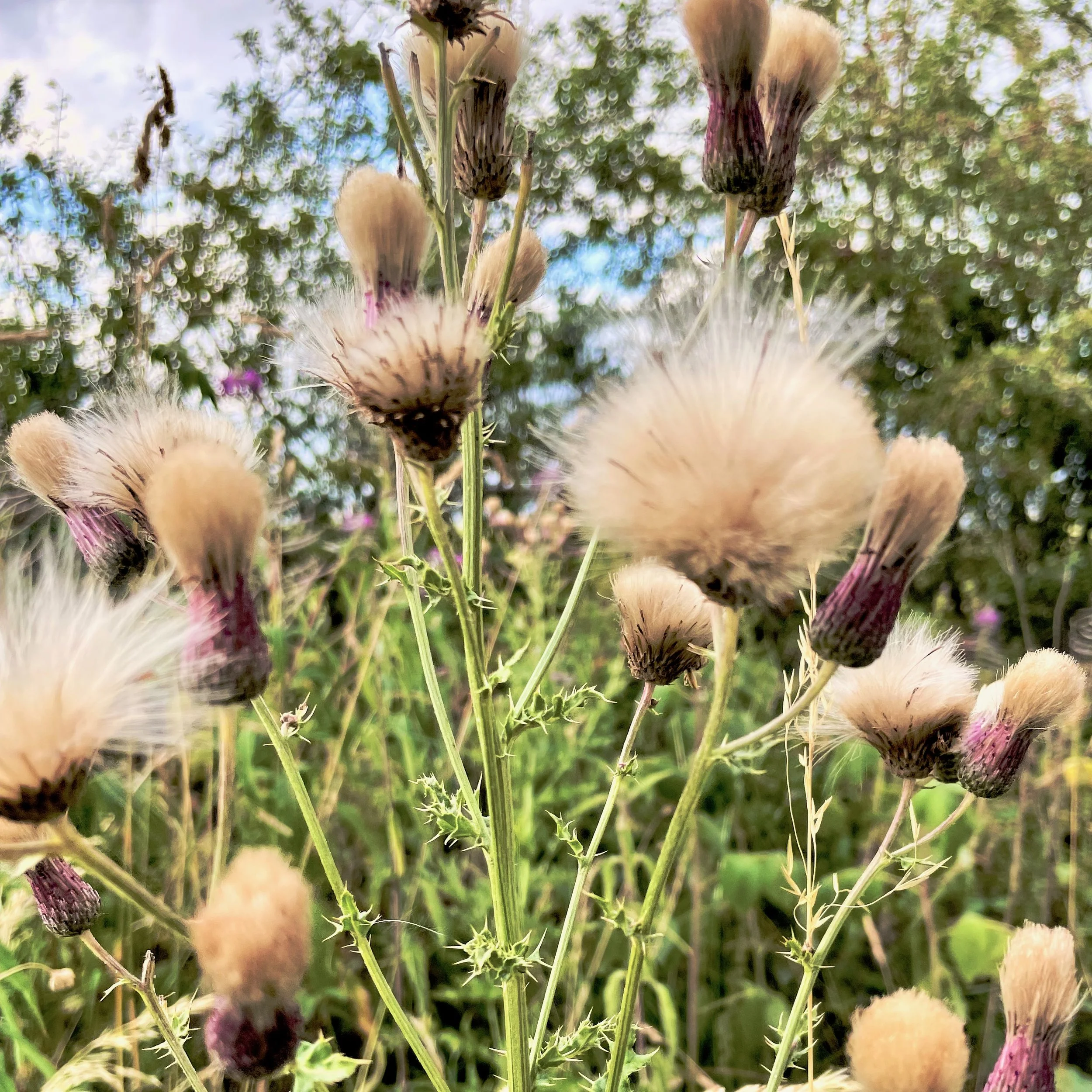 Transitions…..