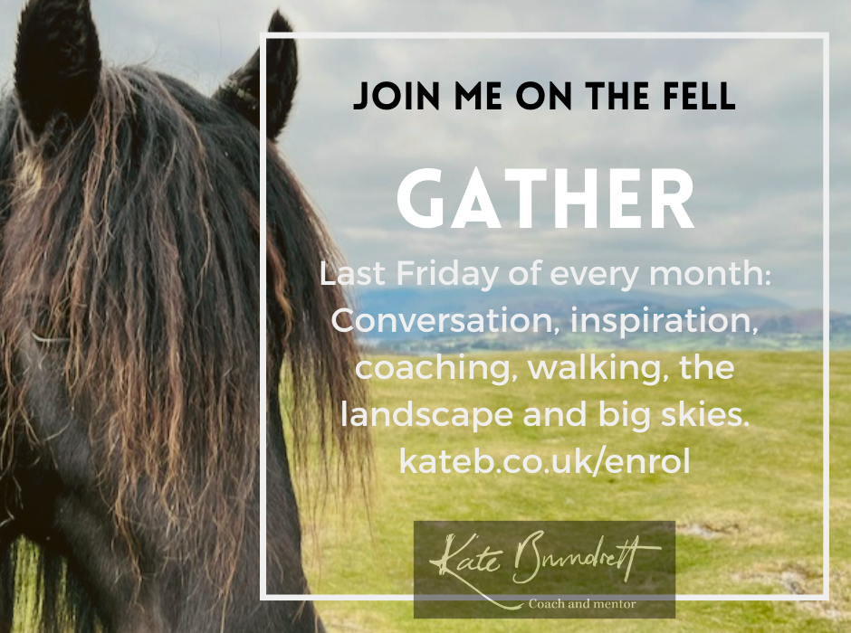 Gather fell pony.png