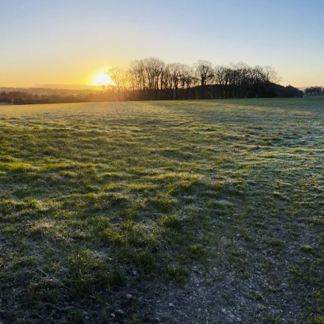 Library - 1 of 1 (3).jpeg