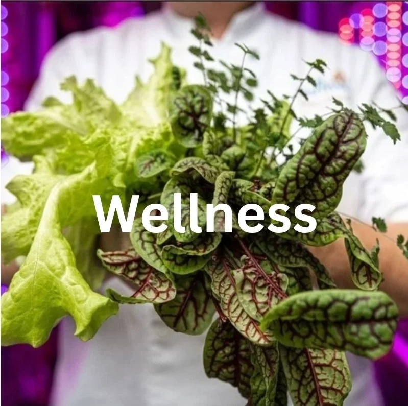 health and wellness photography and video