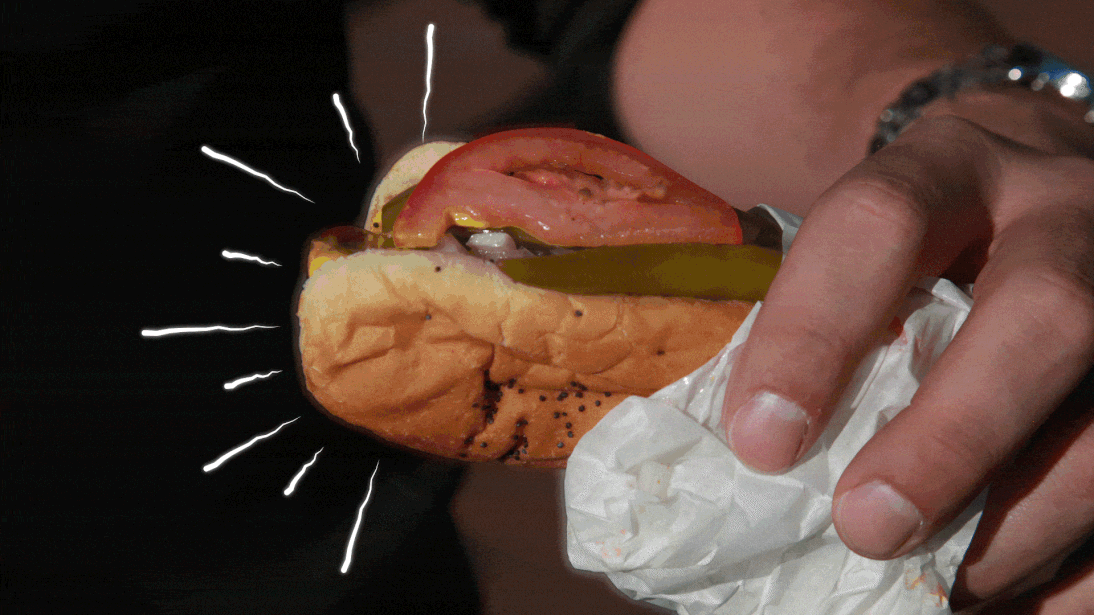Choose_SeriesIntro_RobStopMotion-hotdog-ezgif.com-resize.gif