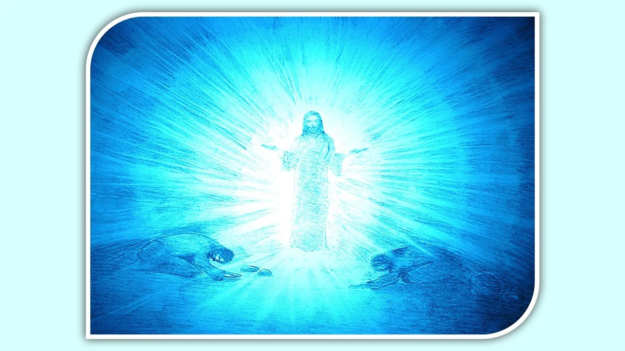 ¿Qué Es Lo Que Ves? - Mateo 17:1-13