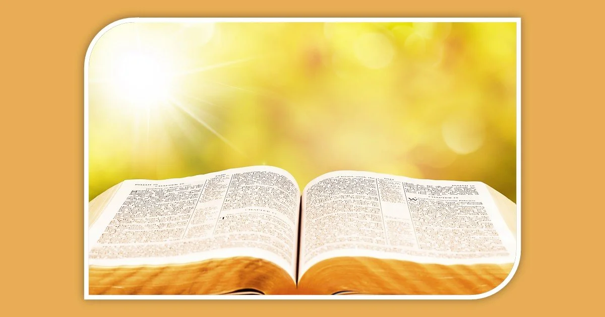 ¿Por Qué Estás Aquí? - Isaías 55:10-11
