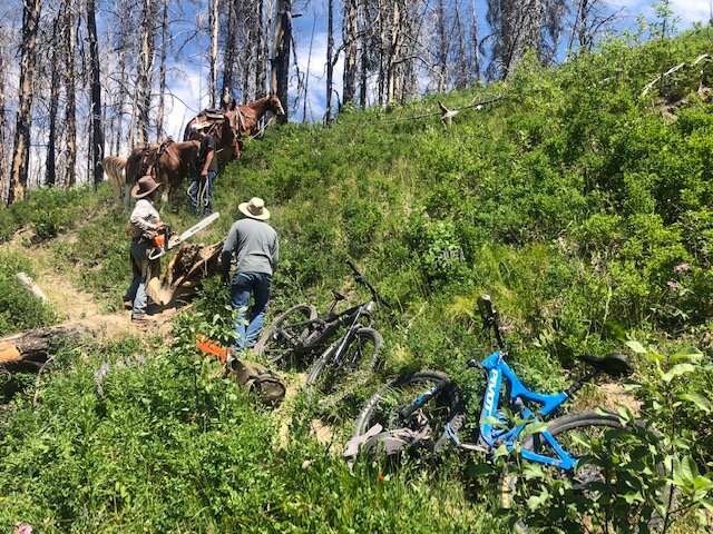 Trails &amp; Conditions Report