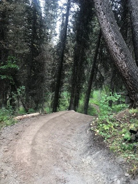 Trails &amp; Conditions Report