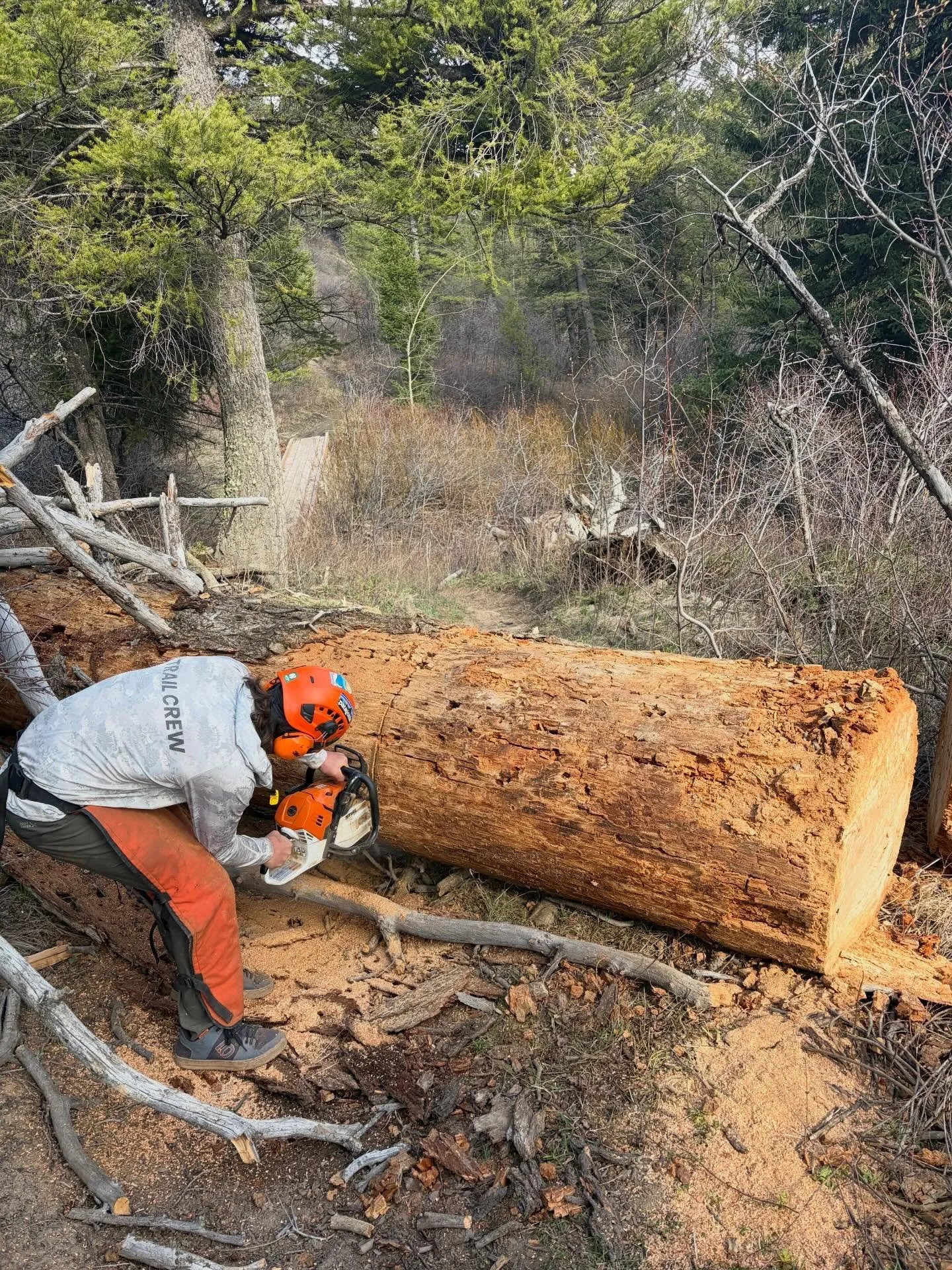 The team is off to an early start hitting the trails and clearing some big downfall. So far, our trail crew and ambassadors have removed 35+ trees from Aspen, Mahogany, Mike Harris, Rocky Peak, Lower Palisades, and South Horseshoe. 

We anticipate a 