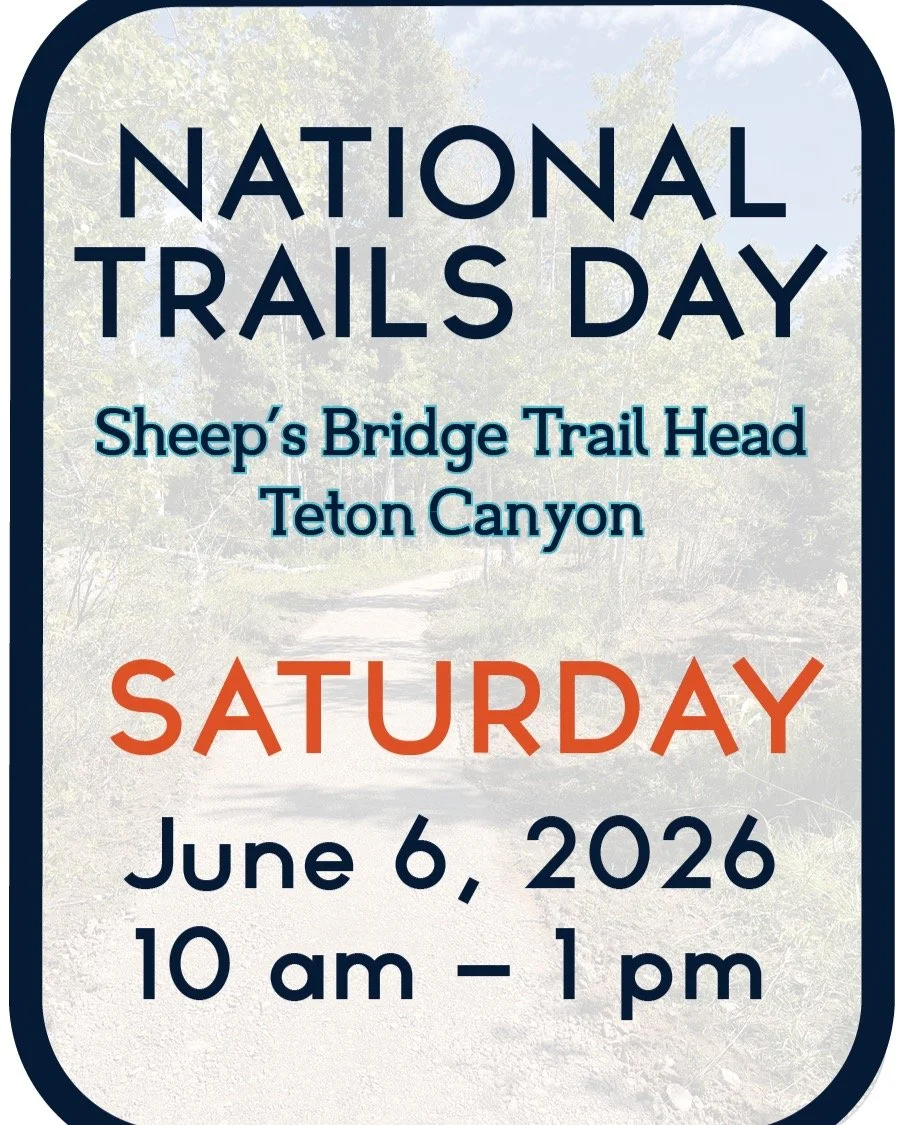 Join us on Saturday for a celebration of National Trails Day! We're teaming up with @tvtapidaho @u.s.forestservice @valleyadaptivesports @teamampl @tetonbch for a day of trailwork in Teton Canyon. We'll work on the Northside Trail for a few hours, th