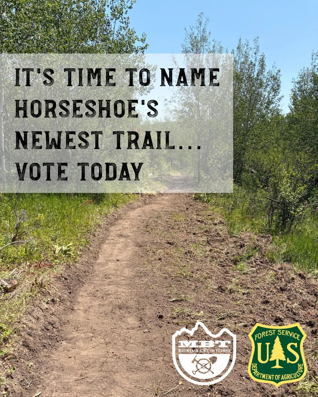 **New trail alert!** If you've ridden Horseshoe Canyon in the last couple of weeks, you've likely seen a new trail connecting lower Bovine and lower Channel Lock. This trail, which was a collaborative effort between MBT and the Forest Service, allows