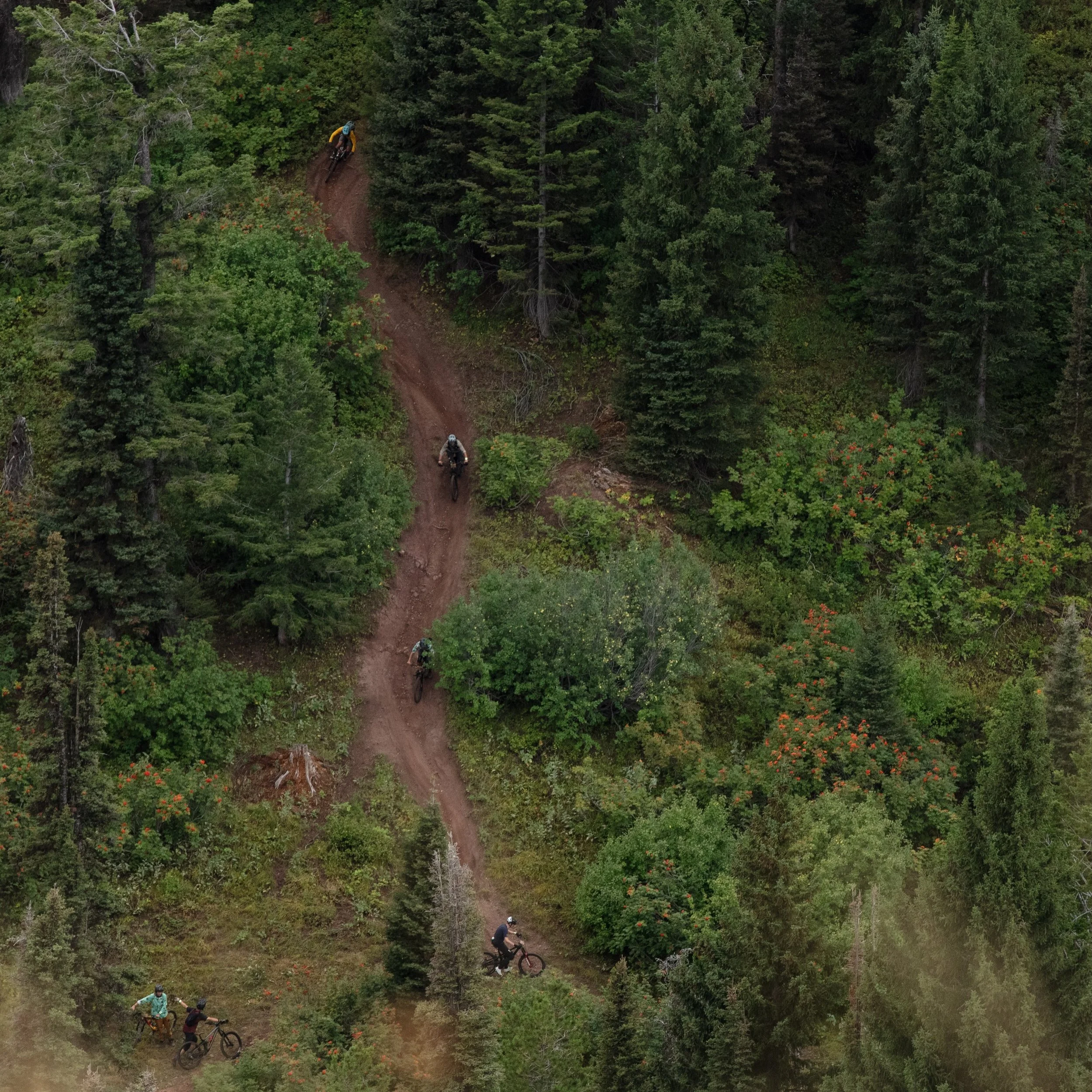 2026 Carriboo Jack Part 1: The Race 

At surface level, the Carriboo Jack is a bike race. We&rsquo;ll dig deeper into the heart and soul of the event in future posts, but right now we&rsquo;re celebrating the race that it is. On Saturday, 48 racers c
