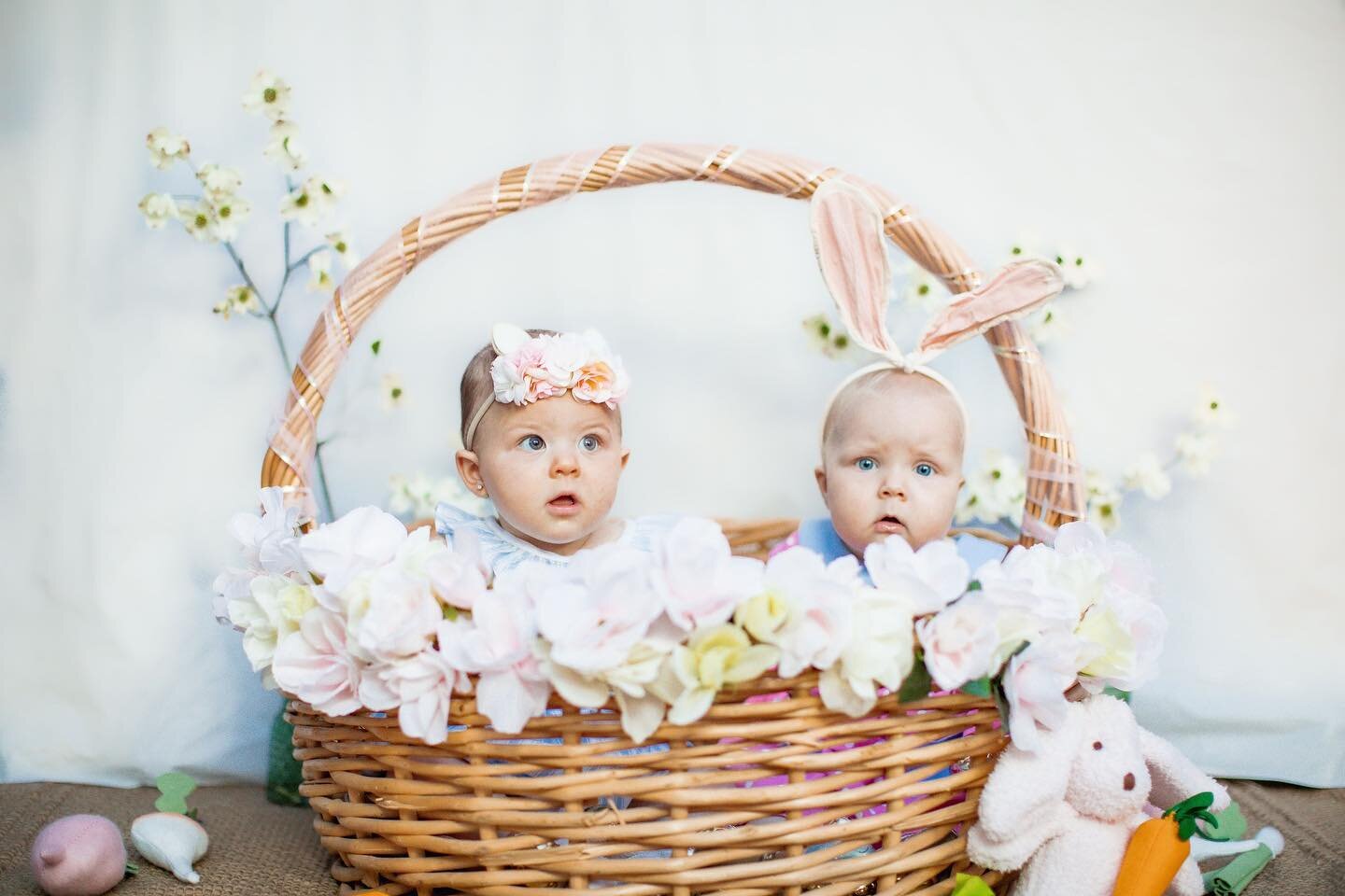 Some more favorites from this little Easter mini session 🐰 🥕