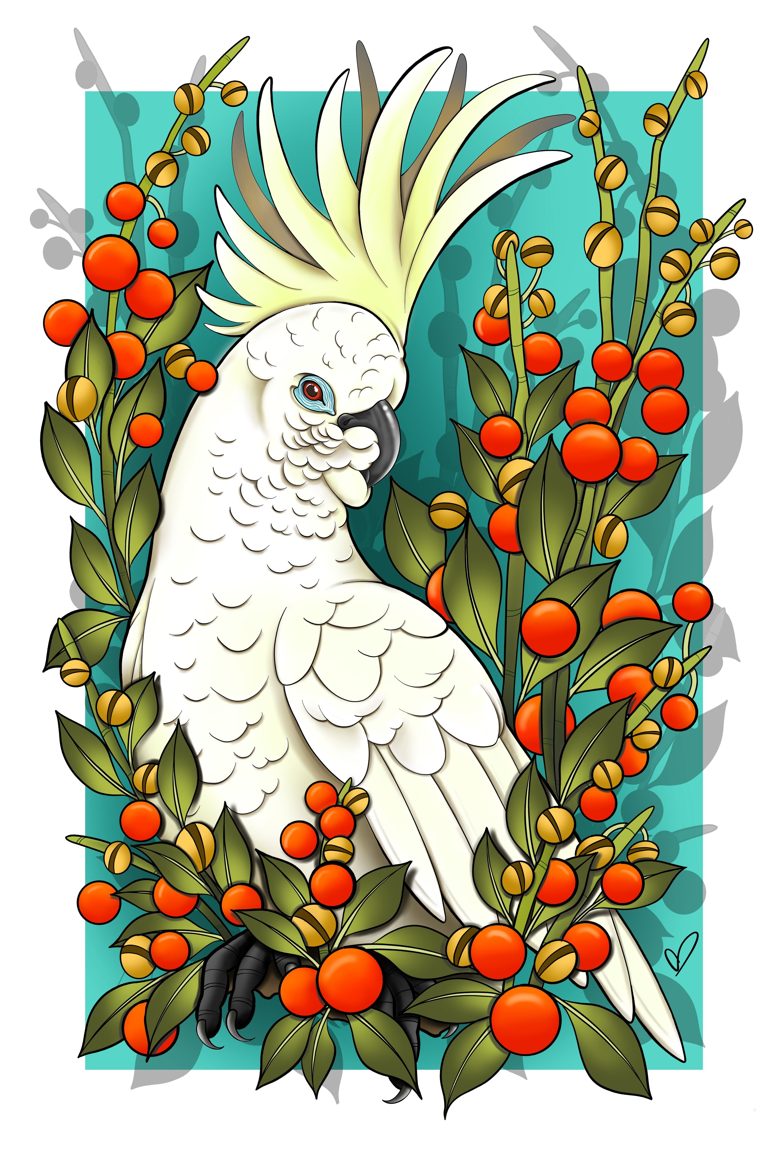 Cockatoo_.jpg