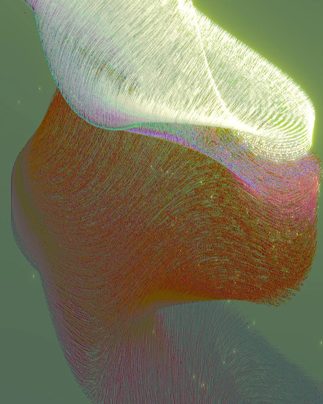 p01.jpg