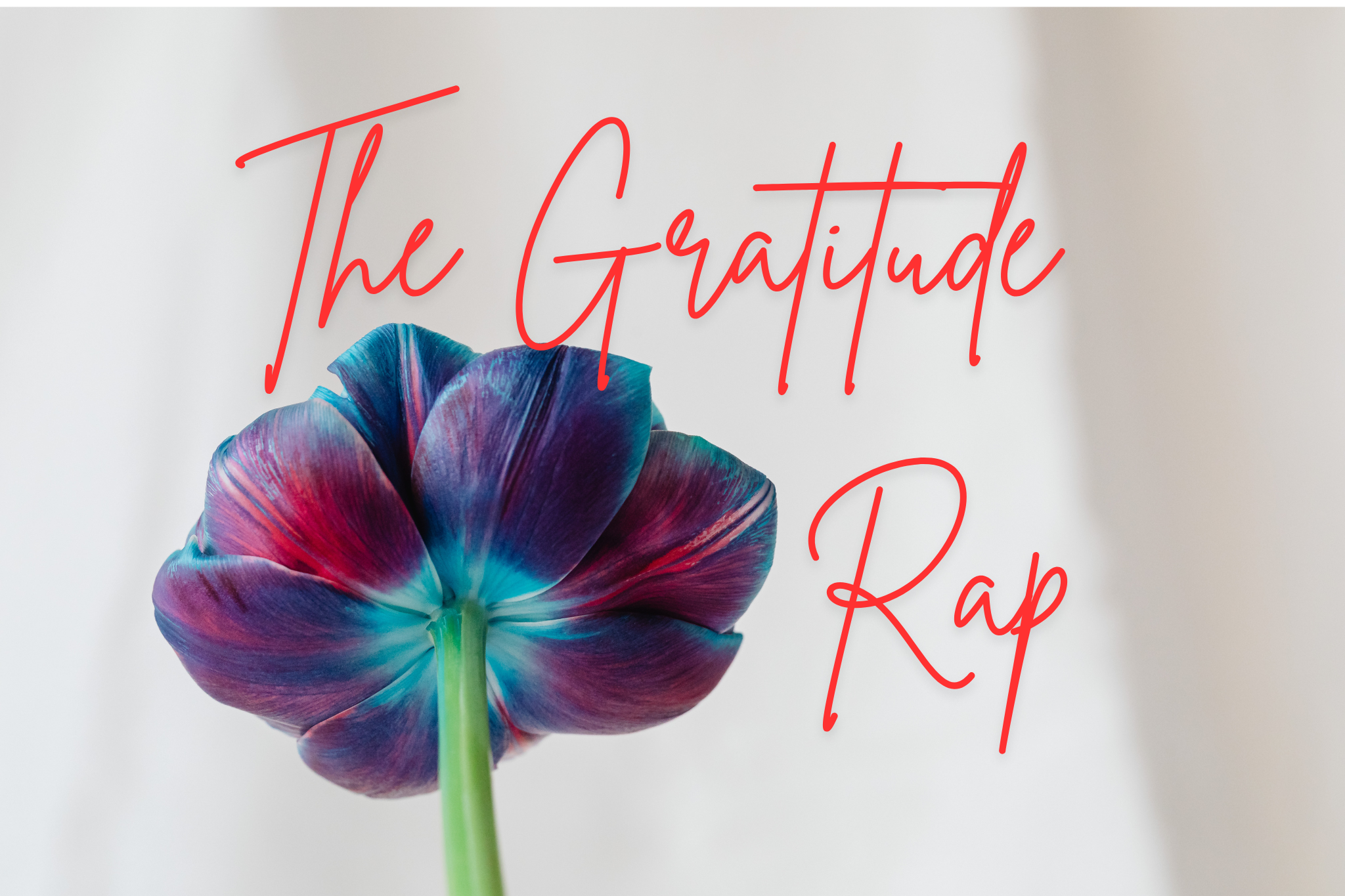 The Gratitude Rap