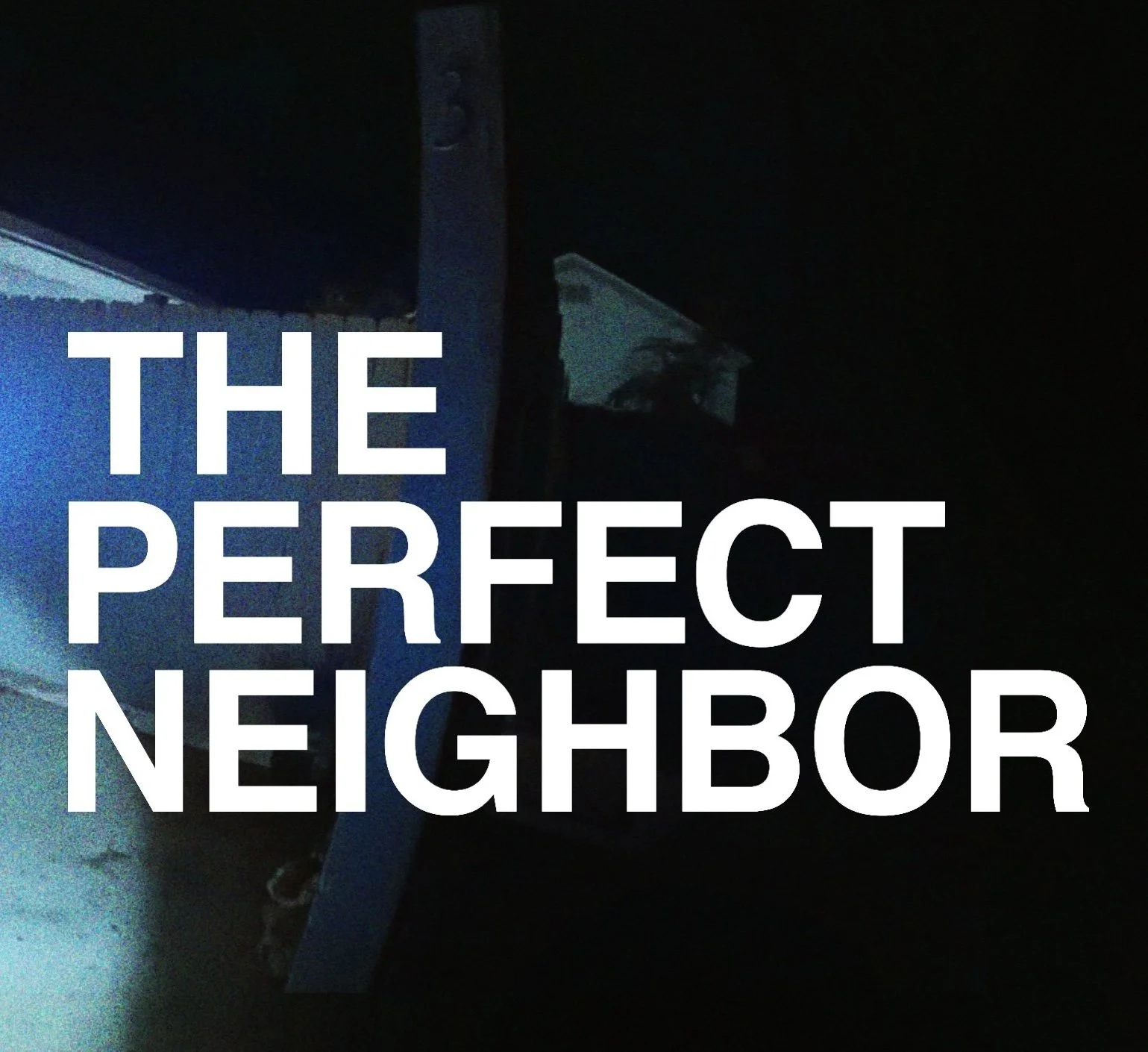 The Perfect Neighbor | Netflix Campaign