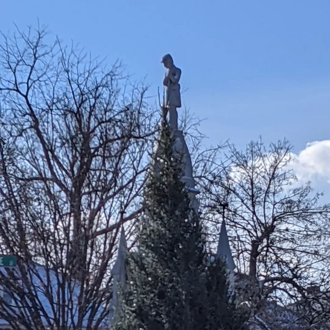 What's that Citizen Soldier doing on top of a Christmas Tree? #jamaicaplain