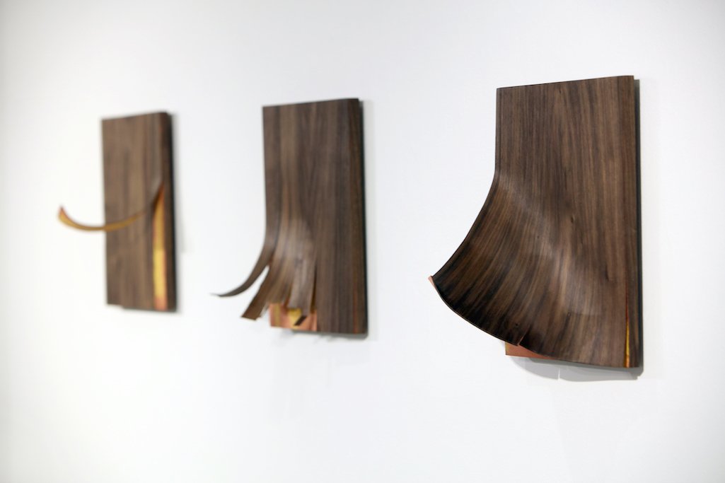 Small wall panels Tess Scheflan .jpeg