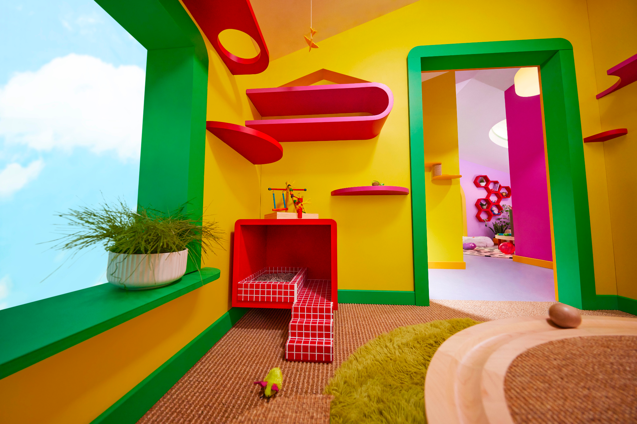 Cat Ensuite Bathroom